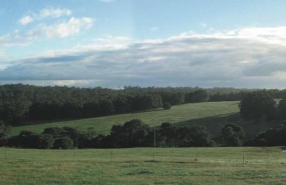 Hilltop Studios Margaret River Quarto foto