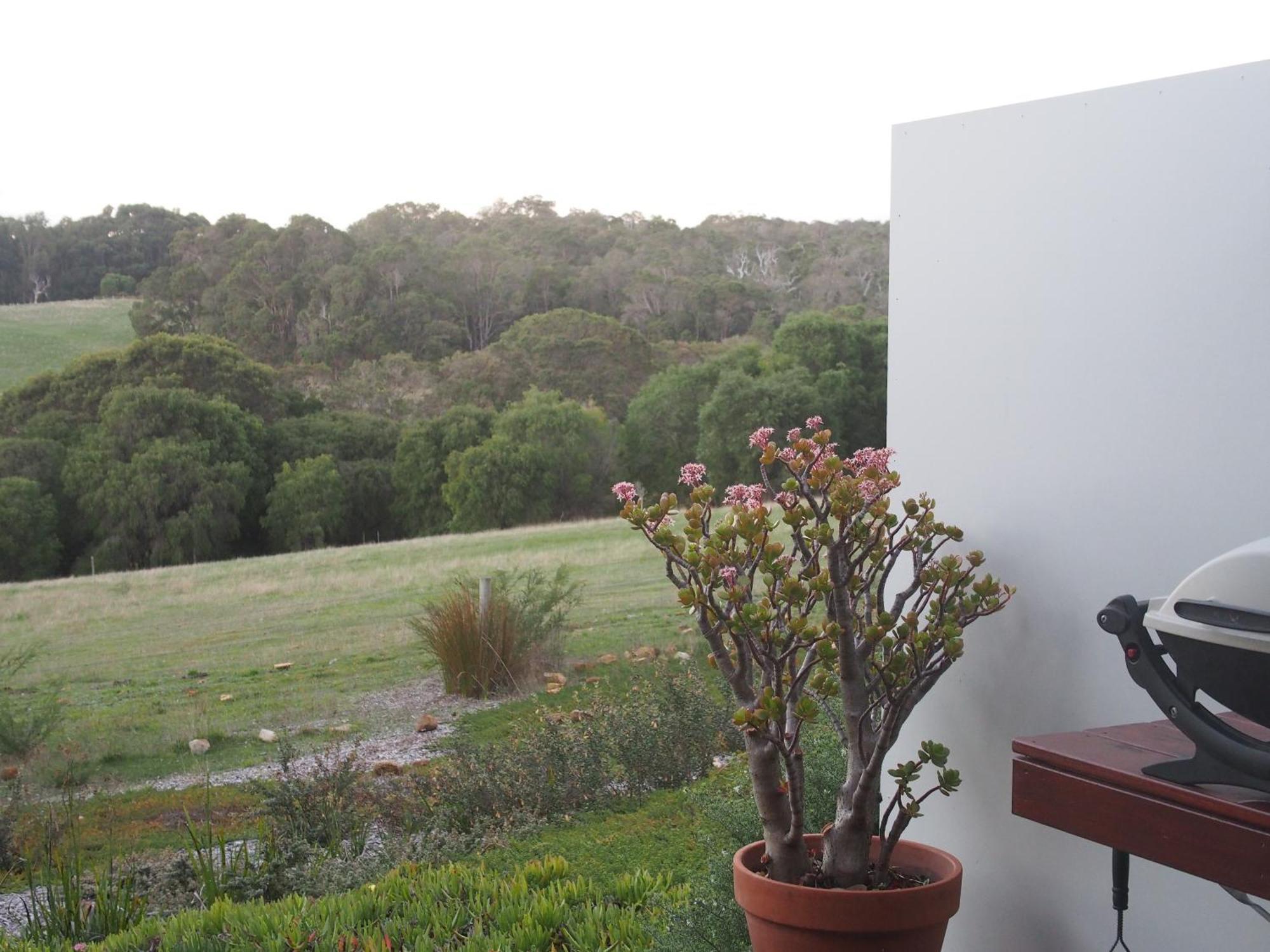 Hilltop Studios Margaret River Exterior foto