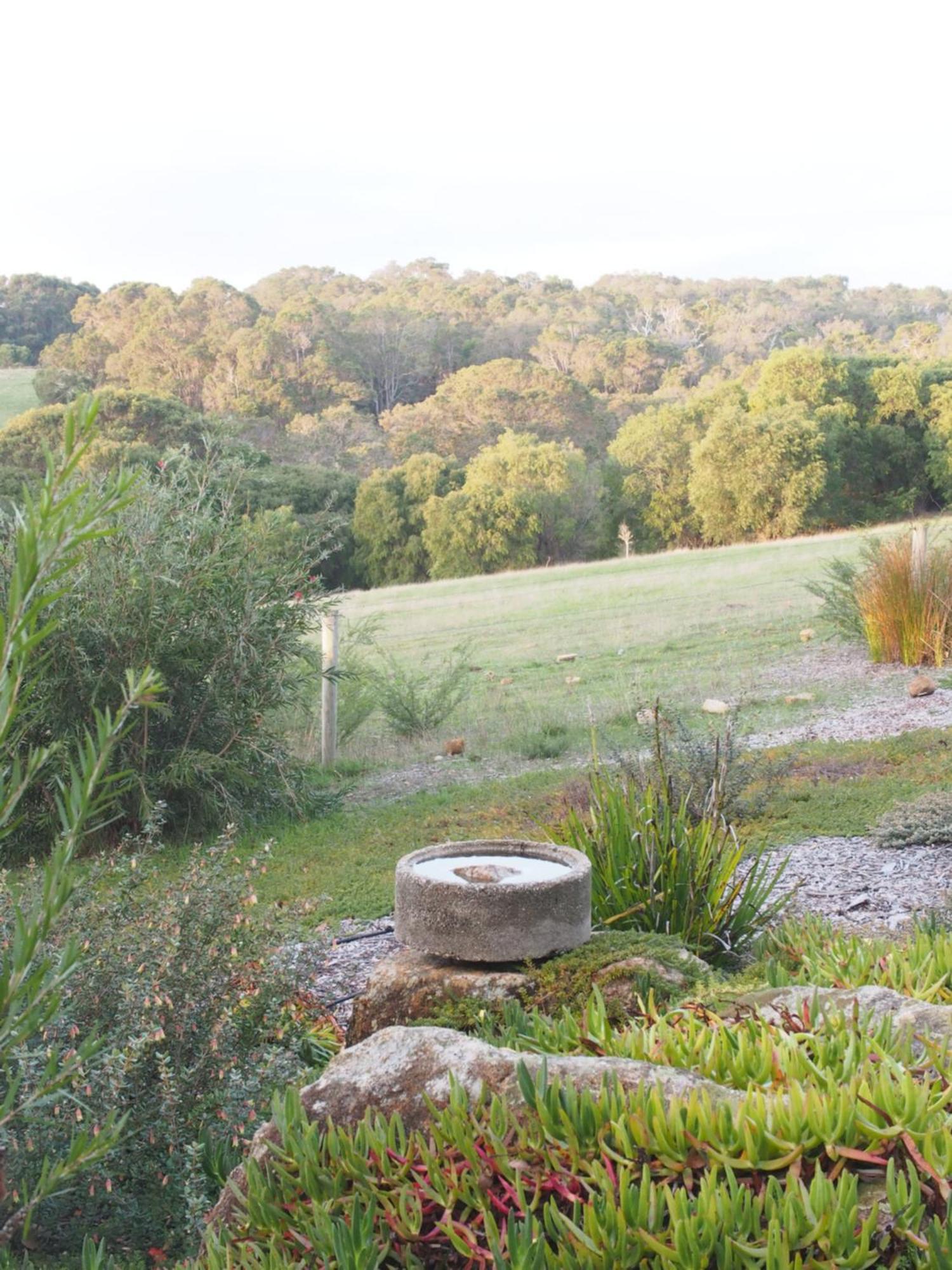 Hilltop Studios Margaret River Exterior foto